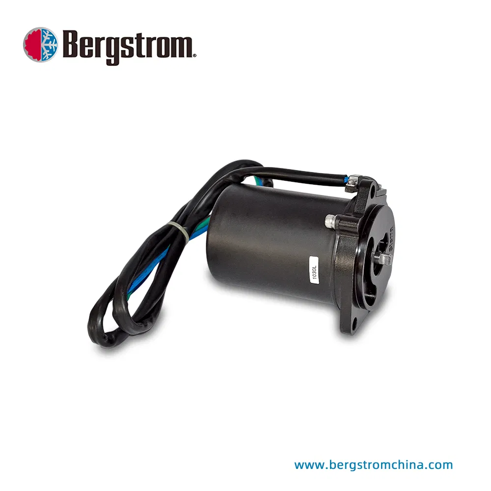12V DC Outboard Engine Marine Motor Oil Pump Motor BZY103 -00