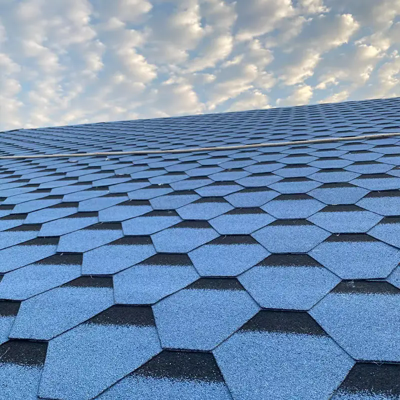 How Do Colored Asphalt Shingles Improve Roofing Performance and Aesthetic Value?