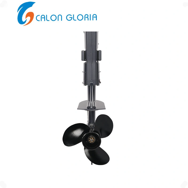 Golden Supplier 2 Stroke 9.8HP Outboard Machine Boat Engine Based on Japan Brand