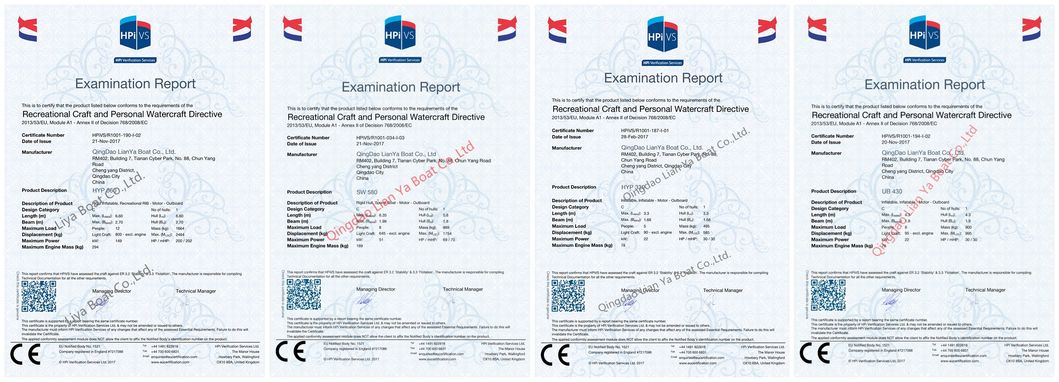 Liya 6.6meter/22feet Rib Boat Hypalon Large Inflatable Rigid Boat Ce